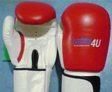 Fitness 4U Boxing Gloves